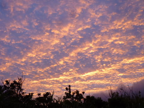 夕焼け