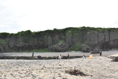 海岸清掃