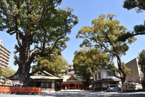 荒田八幡宮