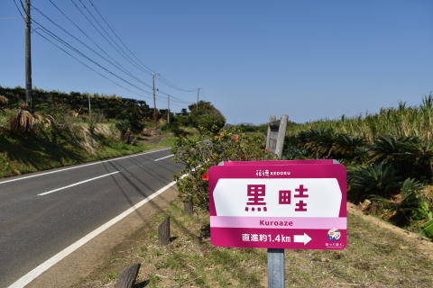 黒畦