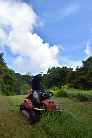 乗用モアに挑戦
