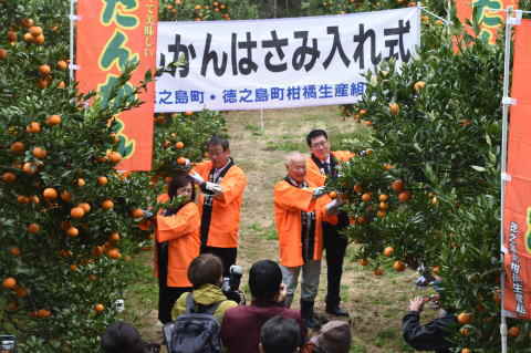 徳之島町柑橘生産組合　タンカンはさみ入れ式